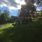 Haras De La Cère Et Ses Chevaux Polminhac