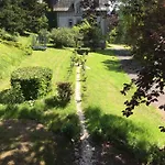 Haras De La Cère Et Ses Chevaux