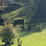 Haras De La Cère Et Ses Chevaux Casa vacanze Polminhac