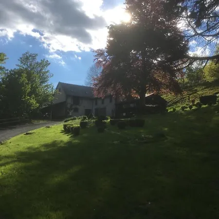 Haras De La Cere Et Ses Chevaux Polminhac