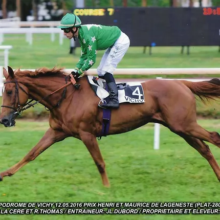 Haras De La Cere Et Ses Chevaux 別荘