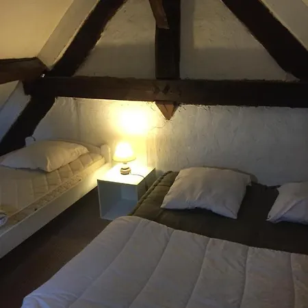 Haras De La Cere Et Ses Chevaux *