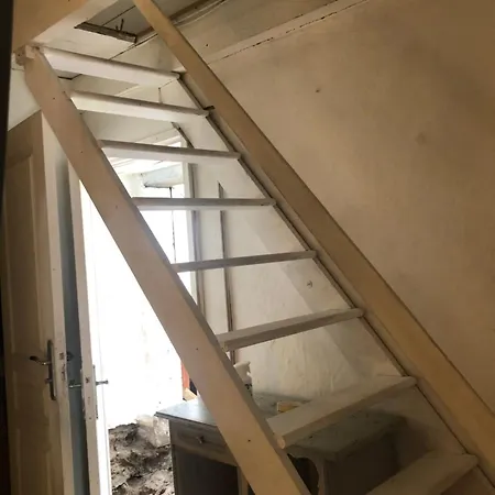 Haras De La Cere Et Ses Chevaux