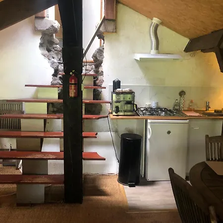 Haras De La Cere Et Ses Chevaux