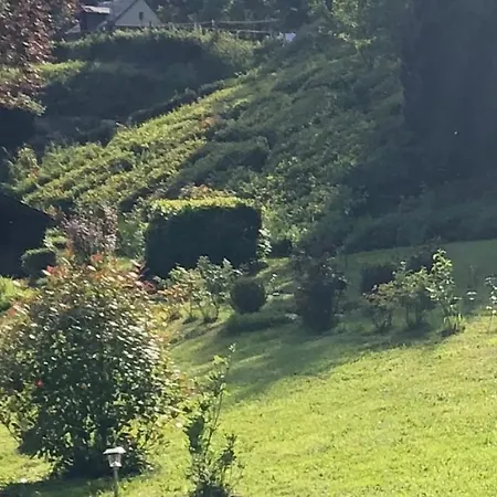 Haras De La Cere Et Ses Chevaux Nyaraló Polminhac