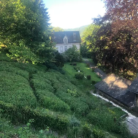 Haras De La Cere Et Ses Chevaux