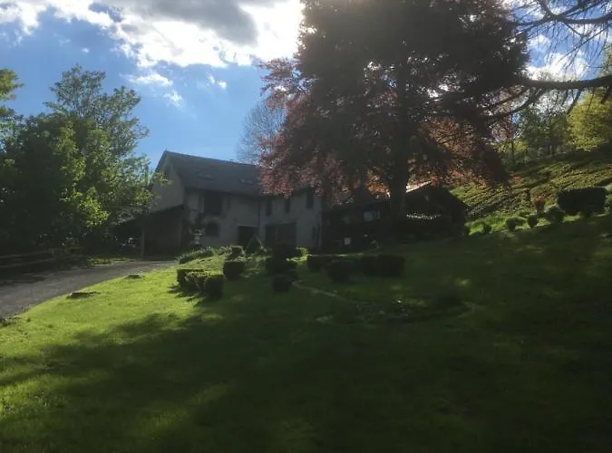 Haras De La Cere Et Ses Chevaux Polminhac