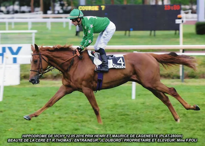 Haras De La Cere Et Ses Chevaux Nyaraló