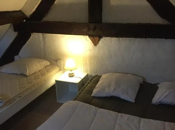 Haras De La Cere Et Ses Chevaux *