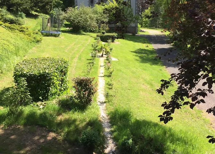 Haras De La Cere Et Ses Chevaux
