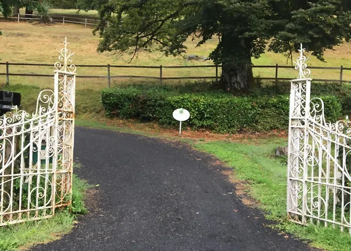 Haras De La Cere Et Ses Chevaux Nyaraló *