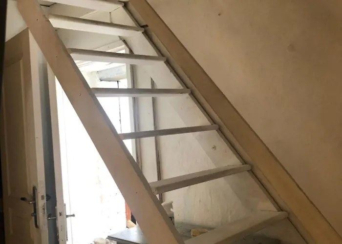 Haras De La Cere Et Ses Chevaux