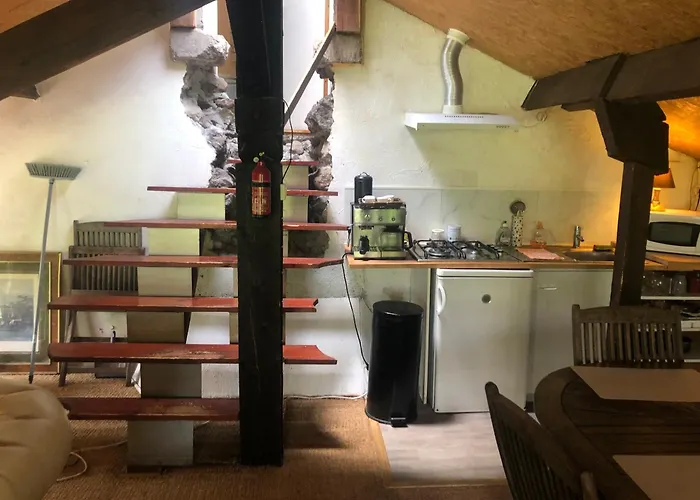 Haras De La Cere Et Ses Chevaux