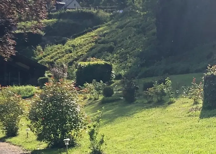 Haras De La Cere Et Ses Chevaux Nyaraló Polminhac
