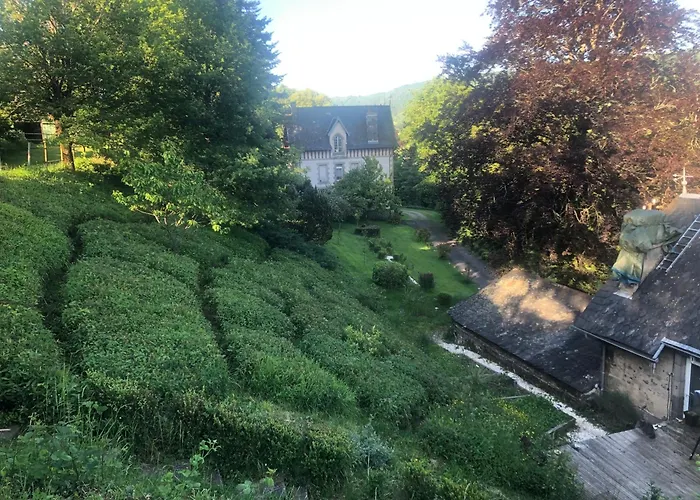 Haras De La Cere Et Ses Chevaux