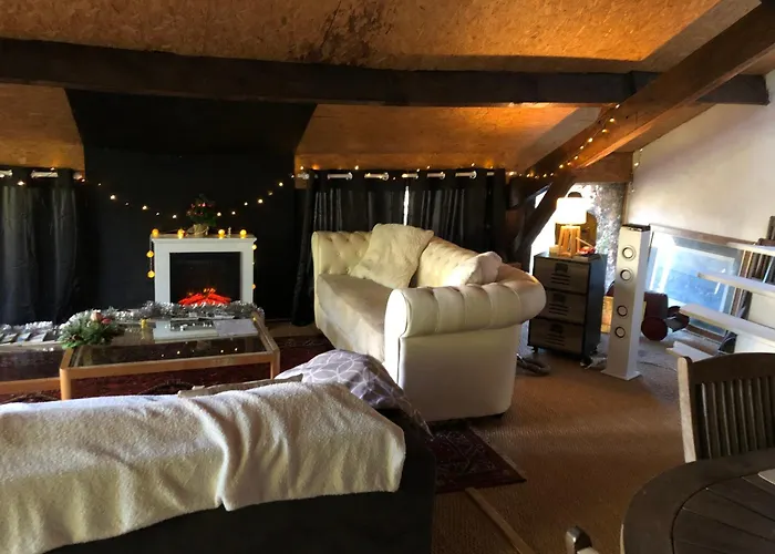 Haras De La Cere Et Ses Chevaux Nyaraló